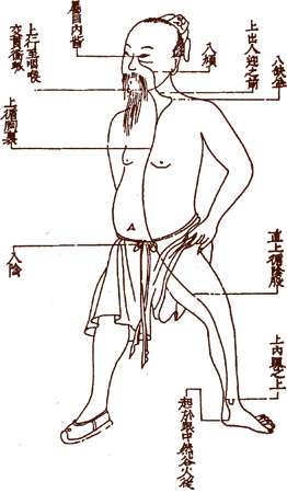 Yin Qiao Meridian��ҽ�ڽ����
